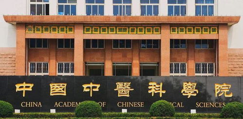 上海10歲男孩坐診看病,求醫者人山人海,老中醫 他是華佗轉世