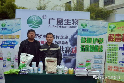 近600人參會大部分是經銷商,榮譽和掌聲屬于他們